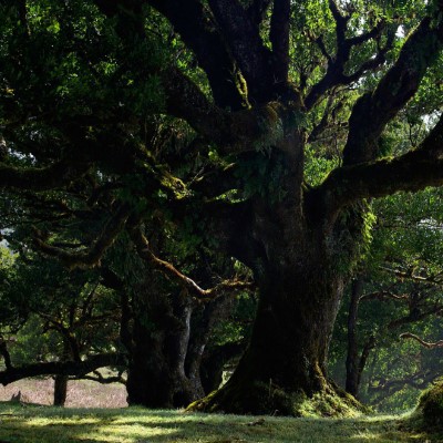 1920 x 1080 HD Wallpapers 1459